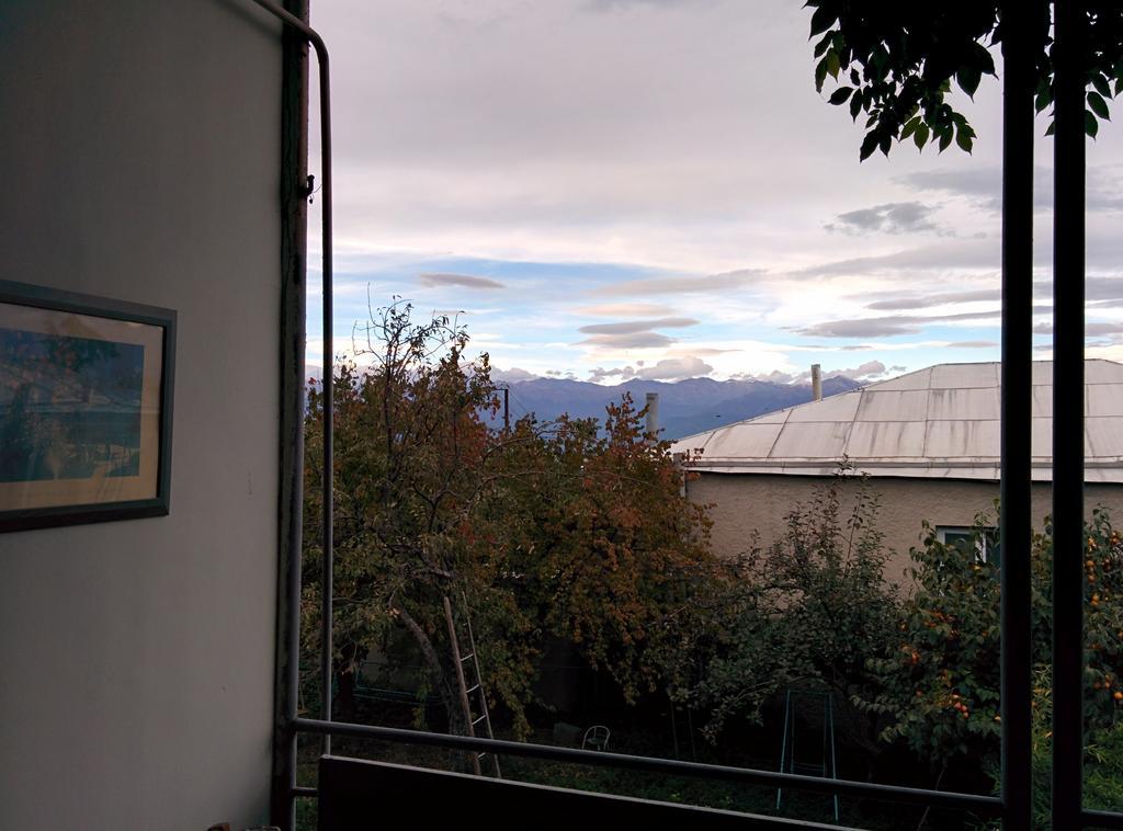 Guesthouse Natali Telavi Exterior foto